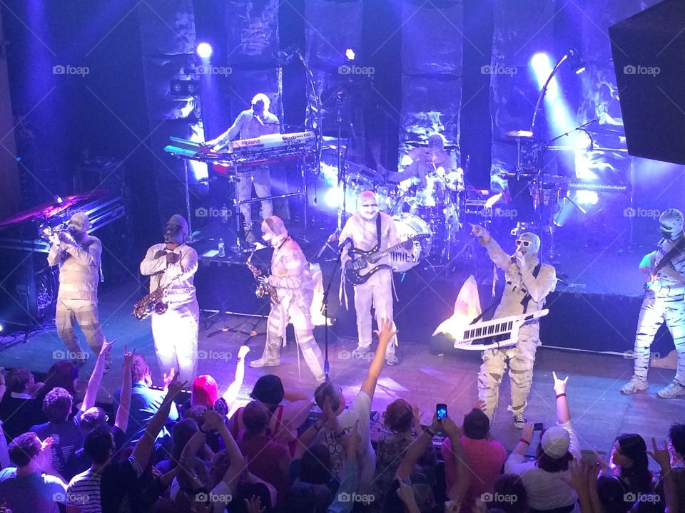 Here Come the Mummies concert. Live
