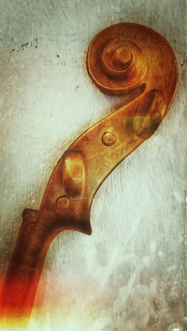 Violin detail with curl
