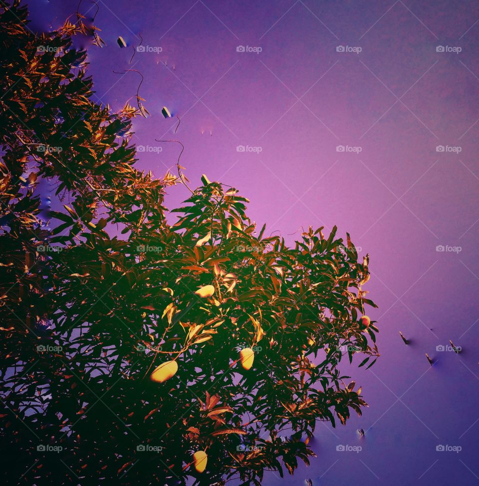 The varieties background