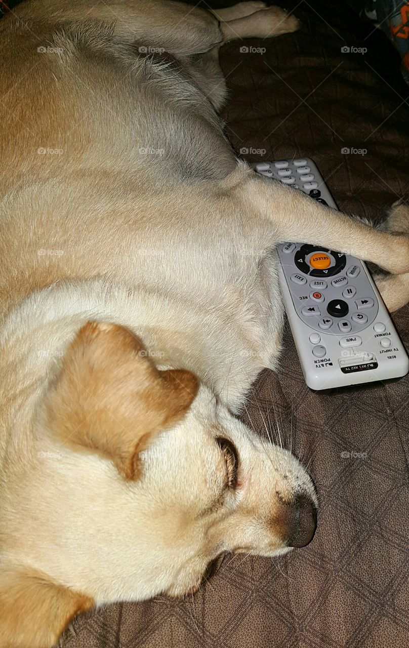 Hogging the remote