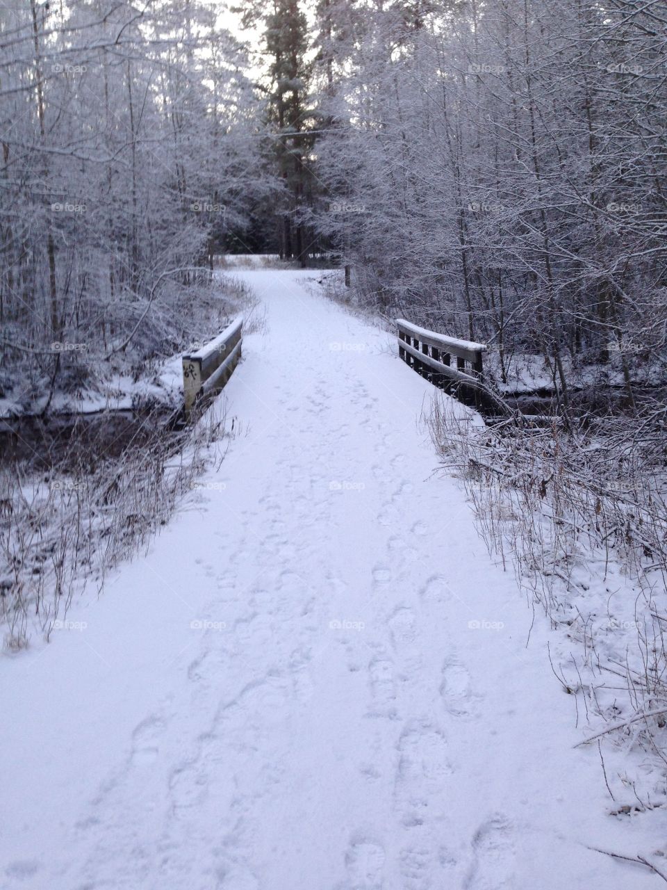 A snowy bridge