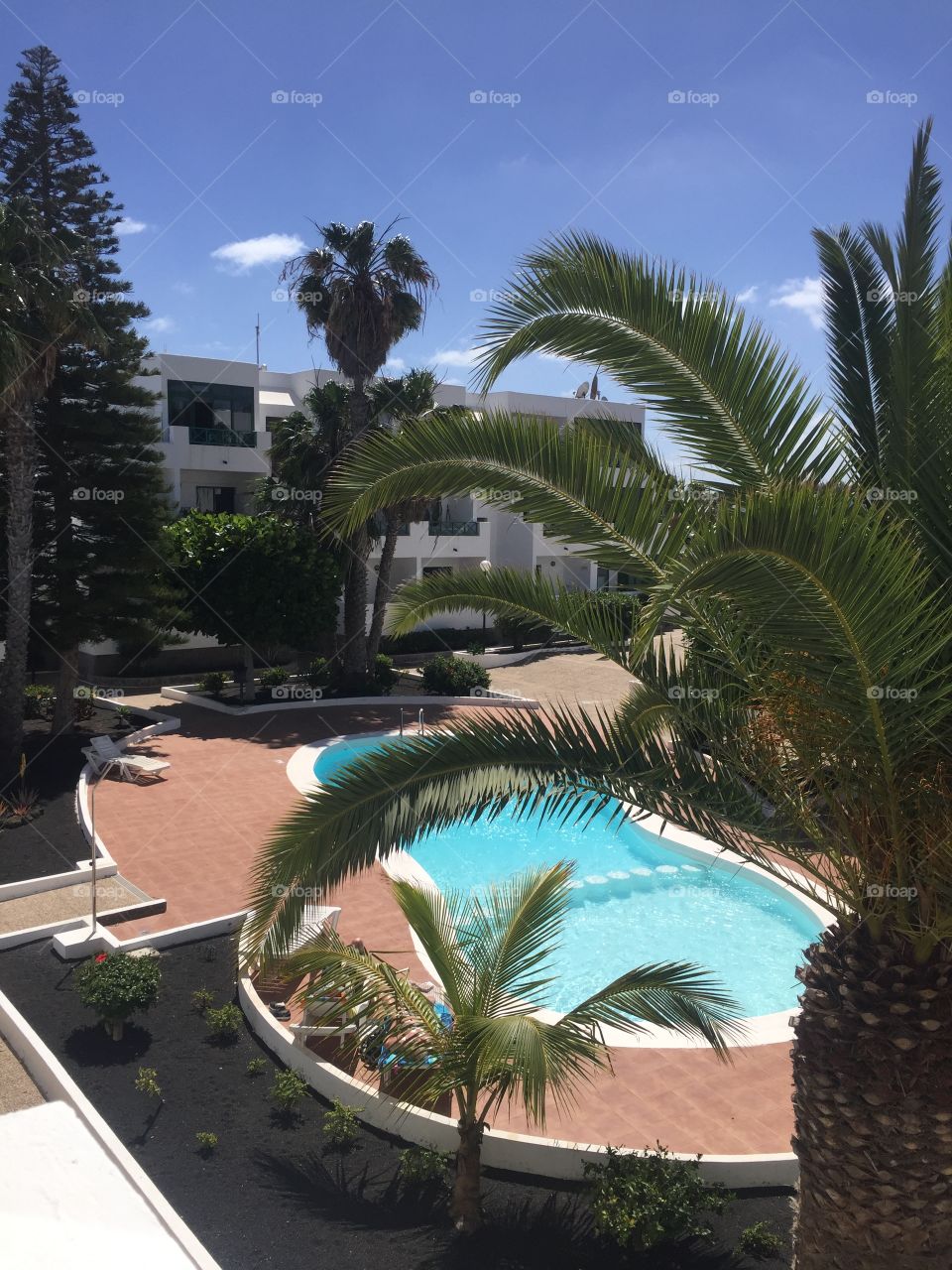 Lanzarote Islas 🌴