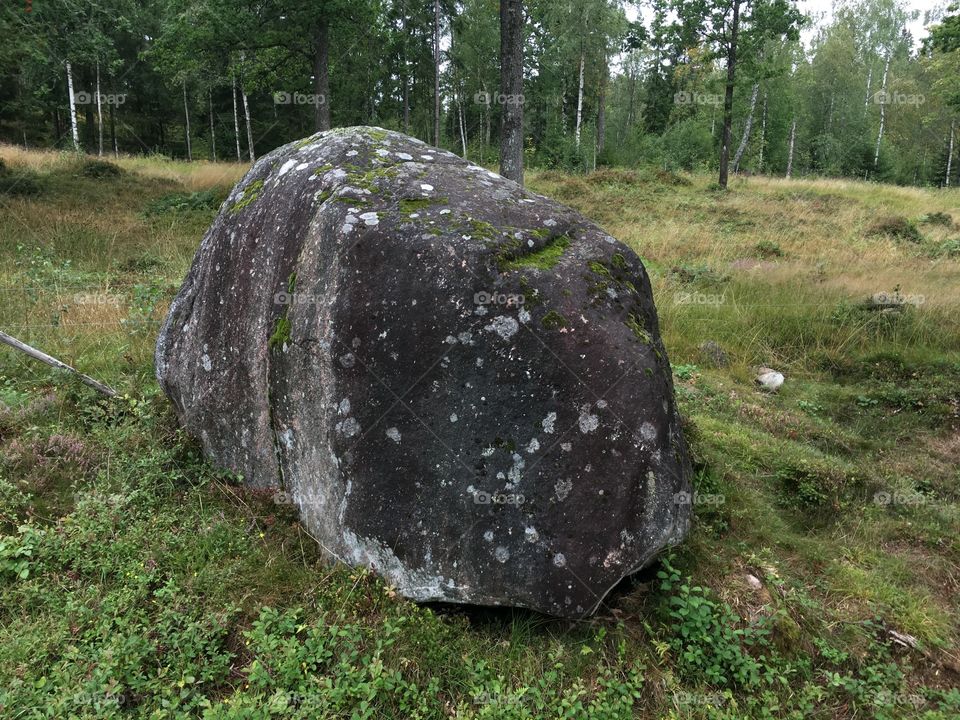 Huge rock with moss and mould