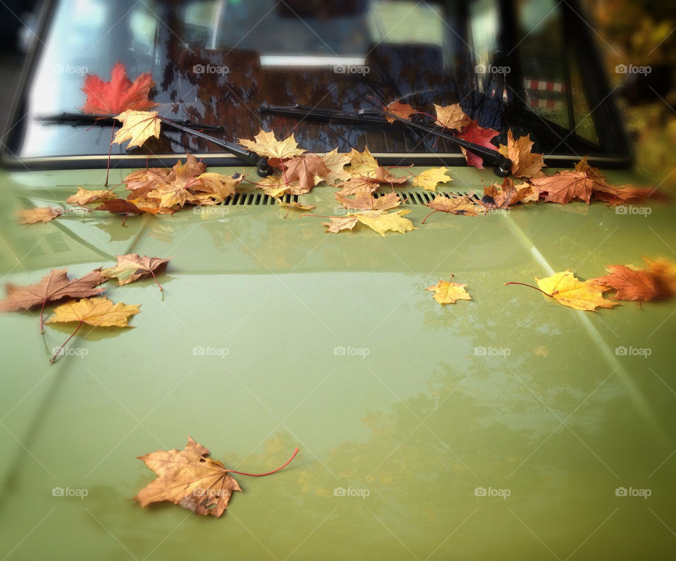 Autumn leaves on the retro car