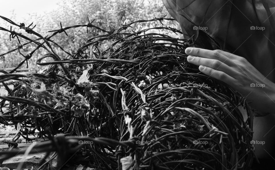 Touching barbed wire