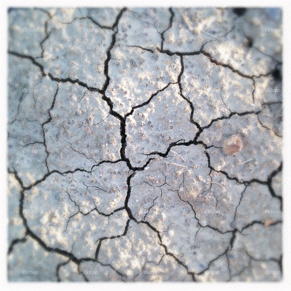Dry cracked desert ground of Nevada.