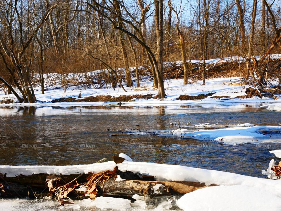 A winter scene plays out at a local city park. It’s cold, but absolutely beautiful. 