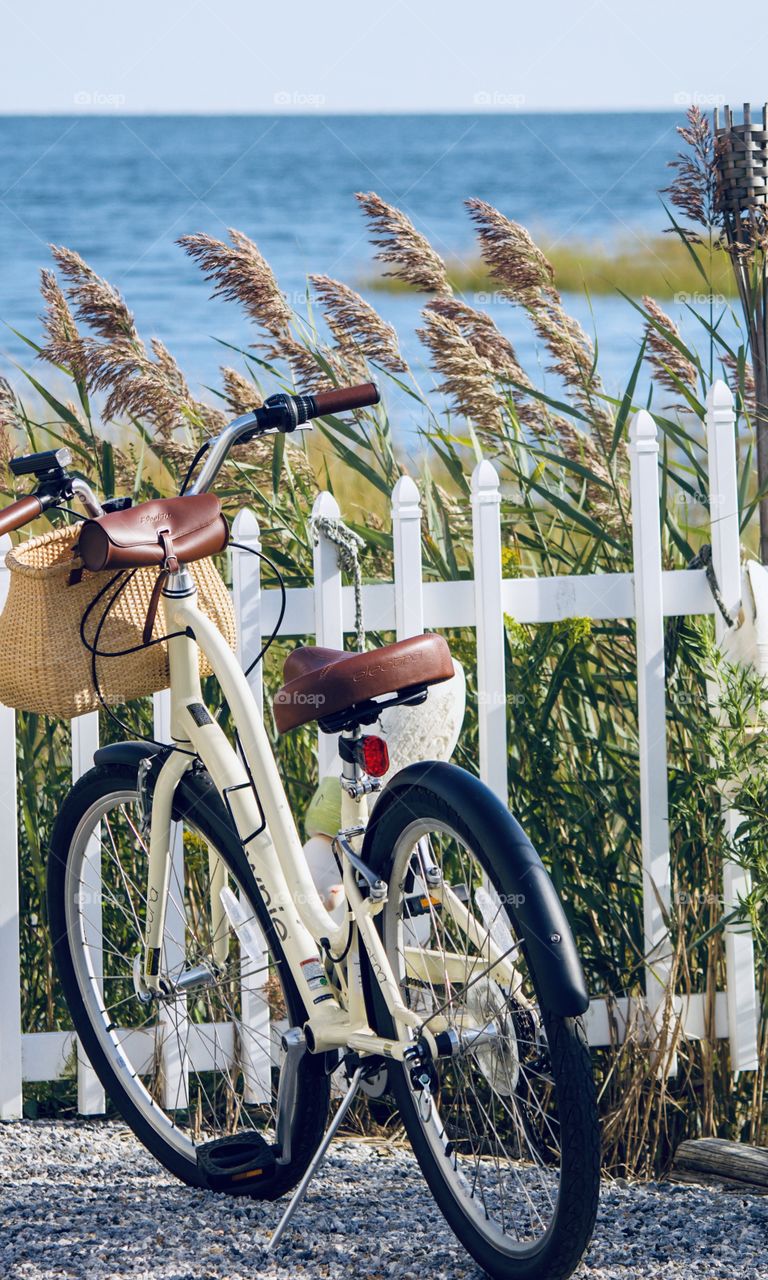 Bicycle by the water