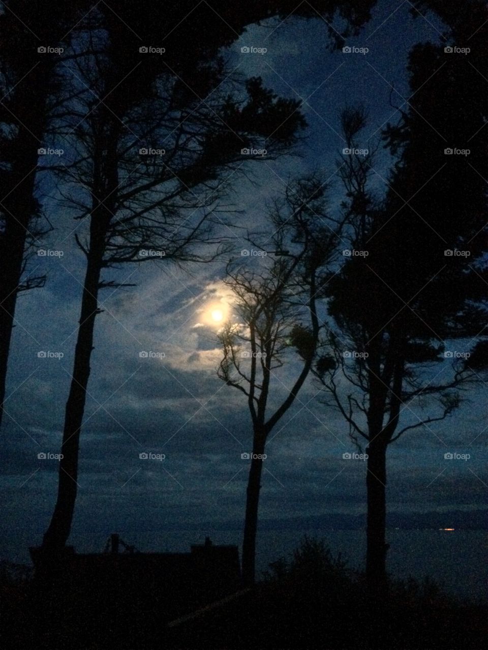 Canada evening on the water. Savary Island, British Columbia