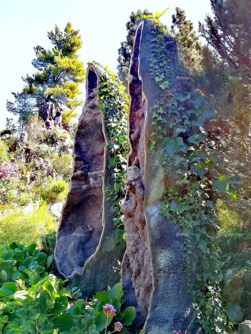 Rocks in the garden