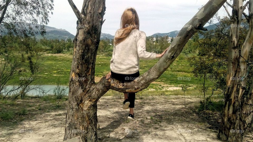 Sitting on tree branch looking at landscape