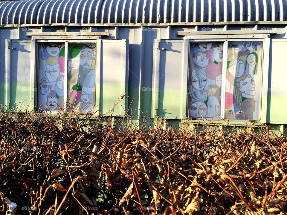Street art - Rail car with Graffiti behind bushes.