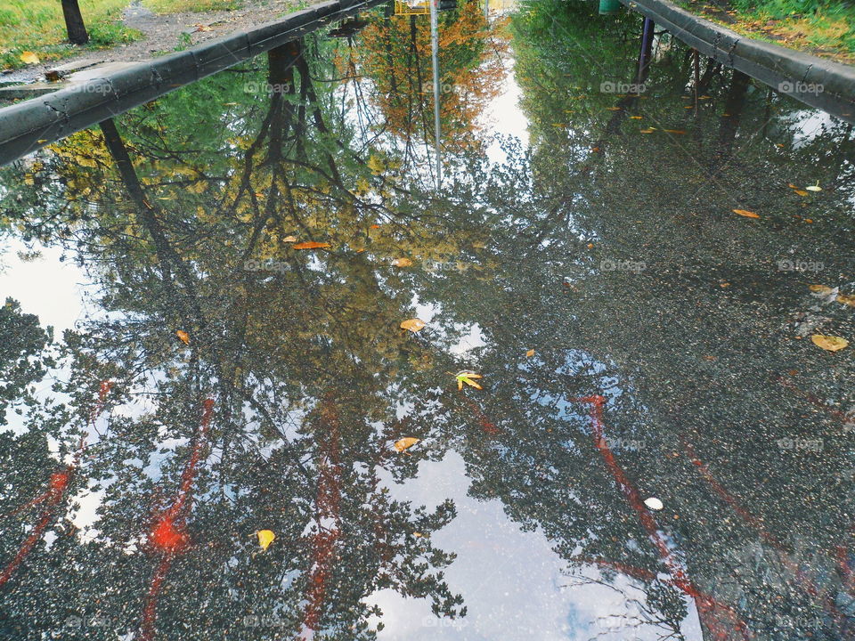 rain-mirror autumn in the city of Kiev