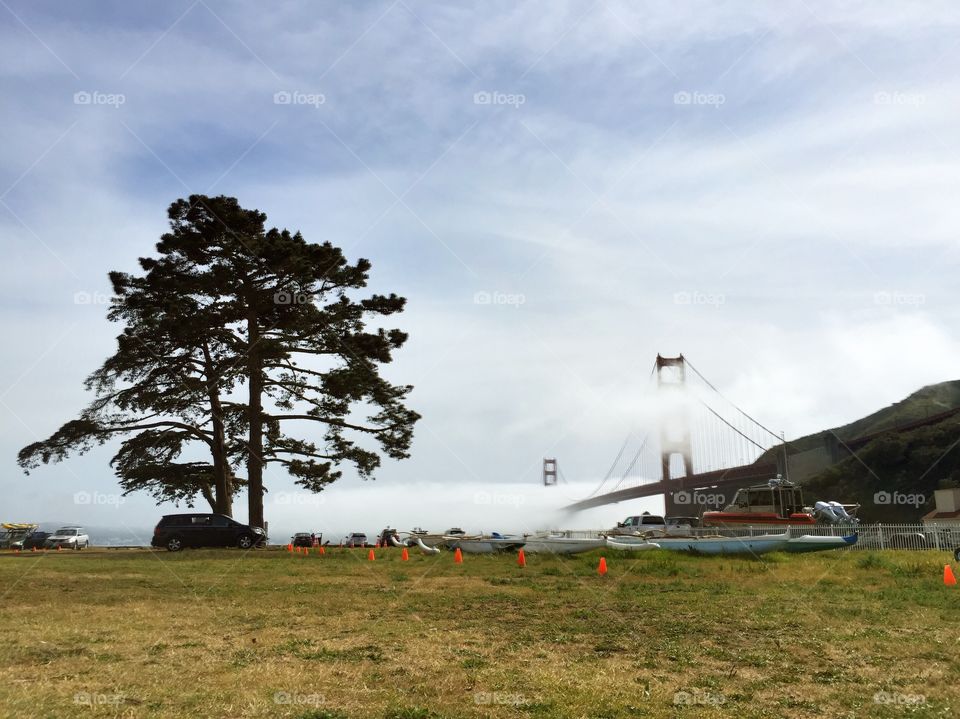 Golden Gate Bridge through the fog and field 
