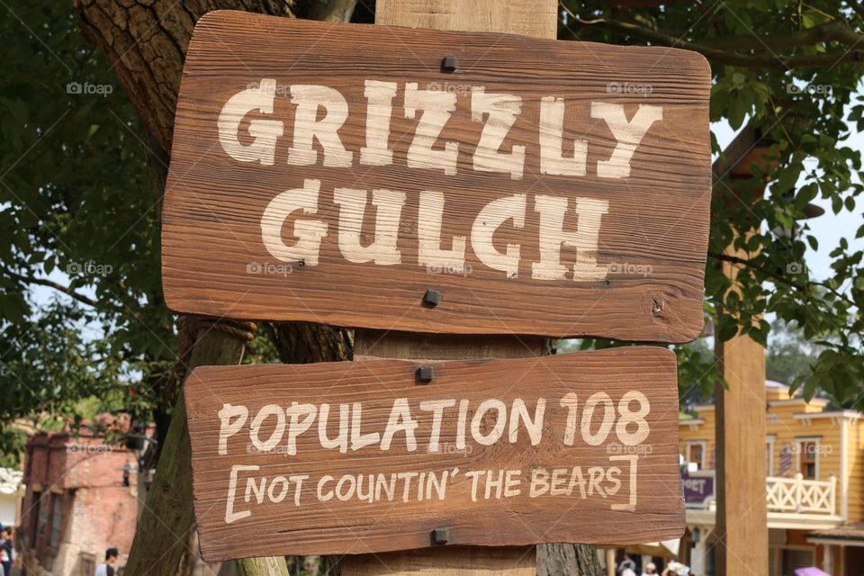 grizzly gulch