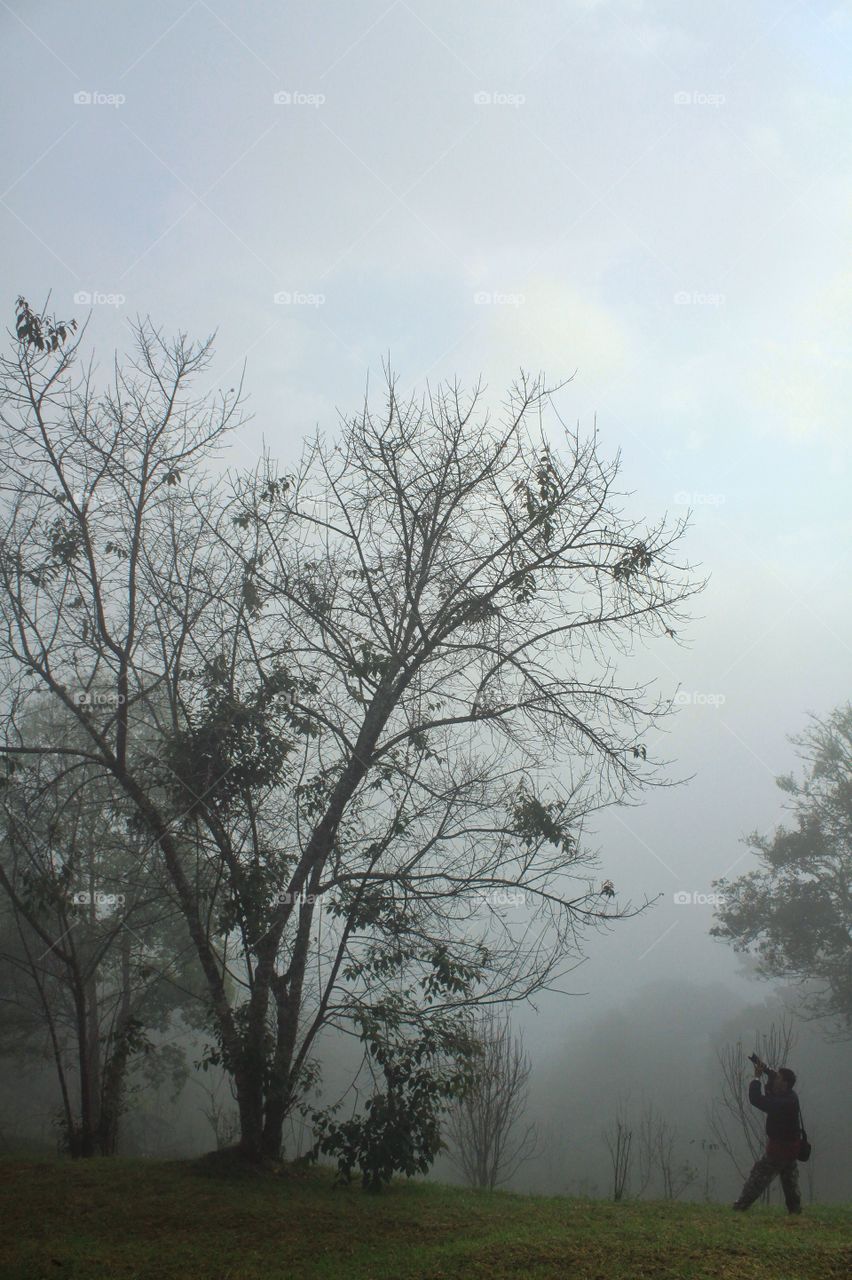 Taking a photo nature