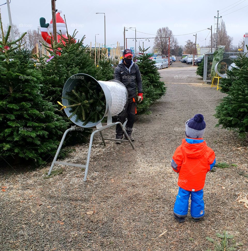 Christmas tree shopping