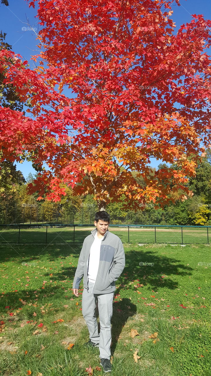 Autumn in New York City. 🍁🍁🍂🍂