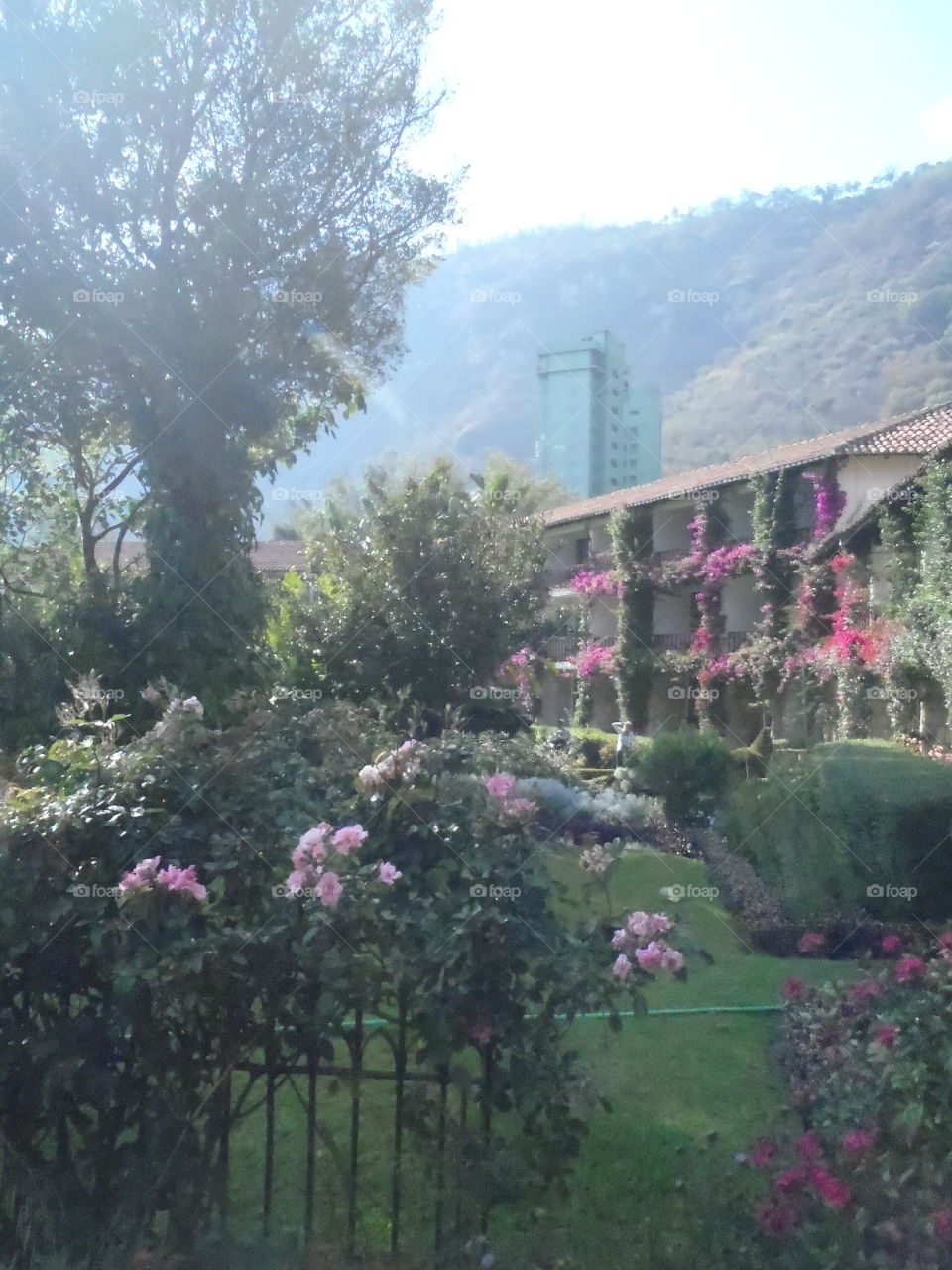 Lush garden courtyard. Lush tropical garden courtyard at Hotel Atitlan 