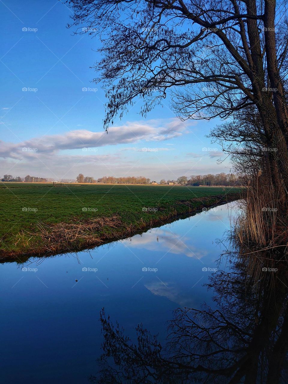 Dutch landscape