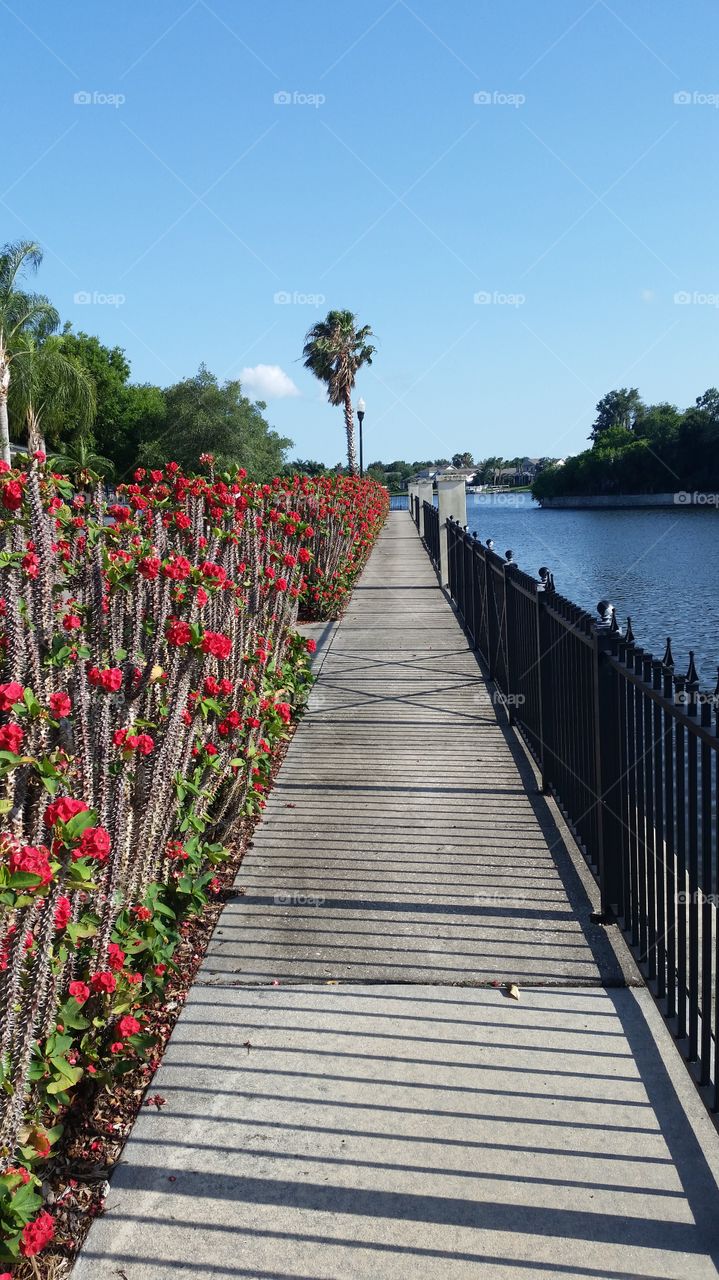 Empty footpath near the sea