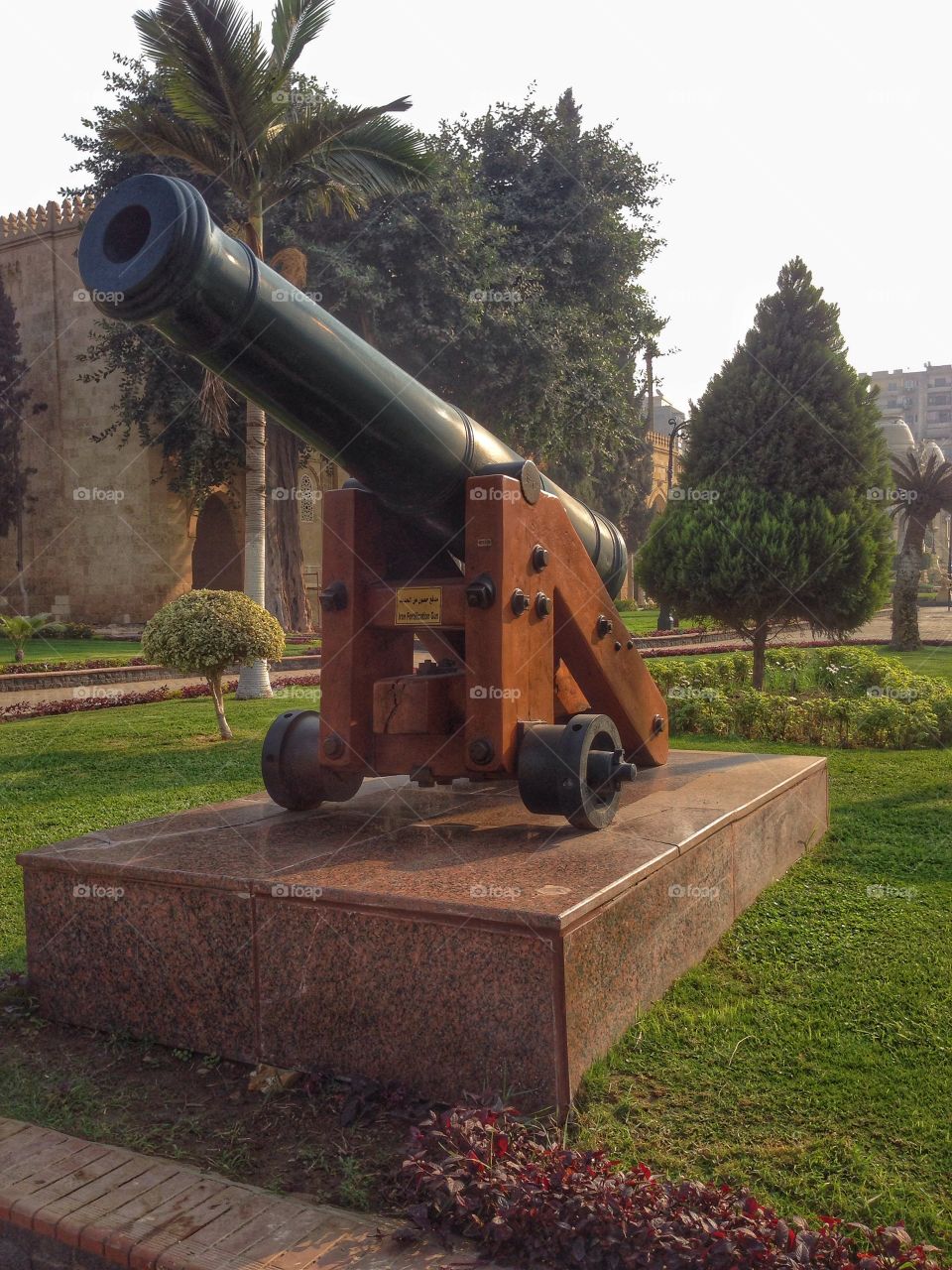 Iron fortification Gun