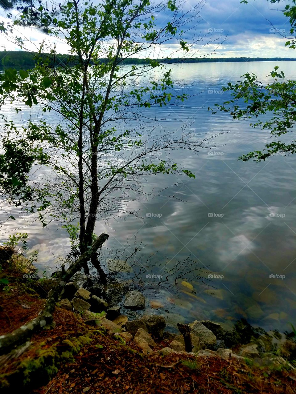 evening by the lake.