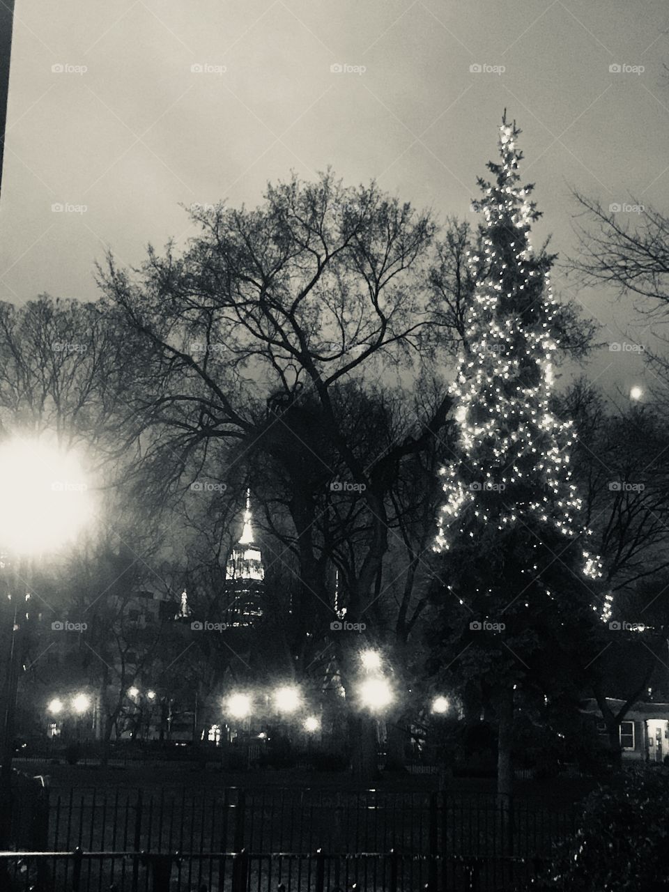 Empire State Building View from Thomkins Square park !