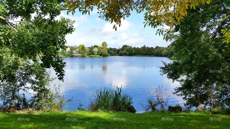 Scenic view of a lake