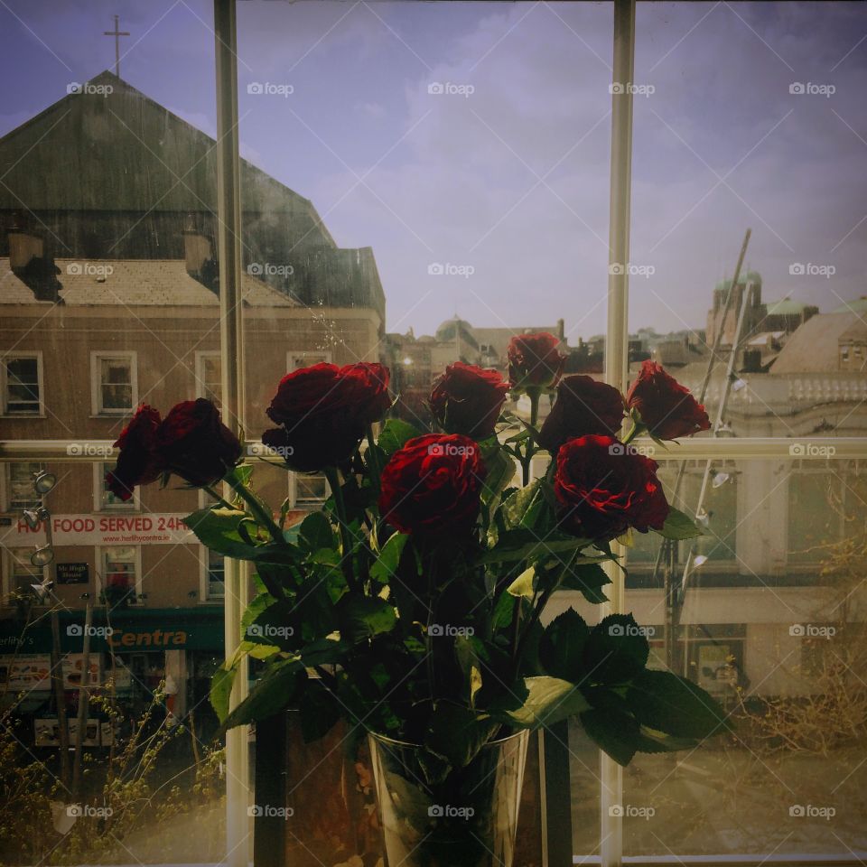 Roses. Roses window