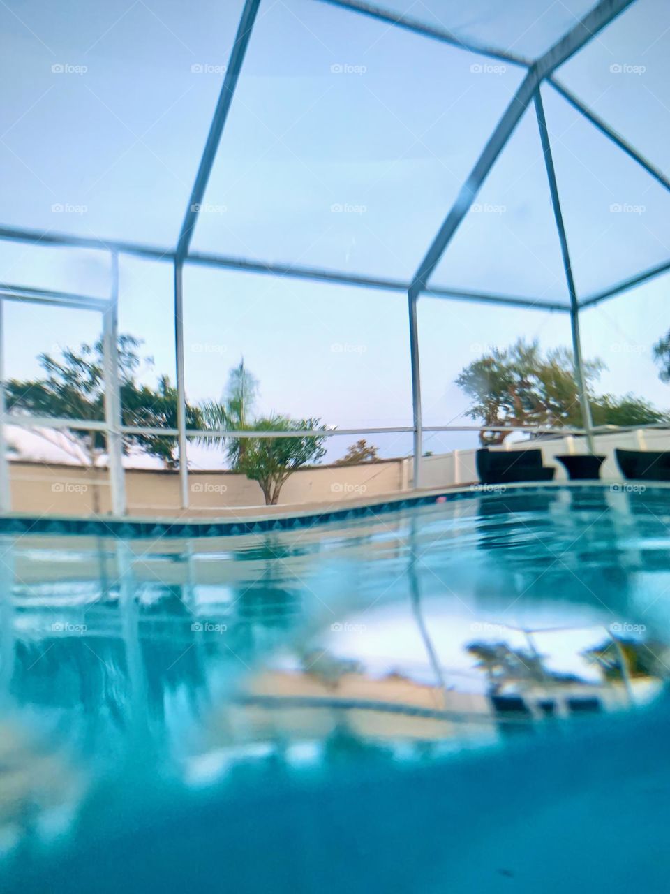 Pool Reflection Of Fence and Backyard Trees From Half Submerged Camera In The Pool.