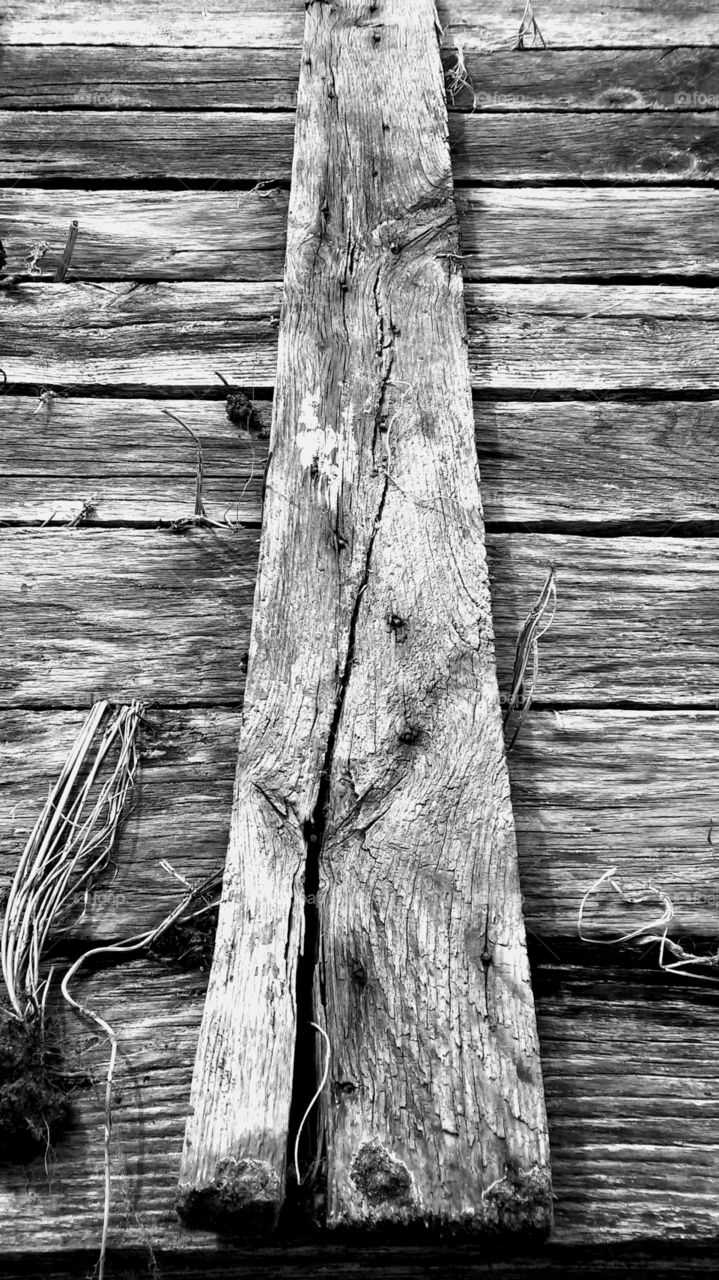 Wood, Wooden, Board, Log, Texture