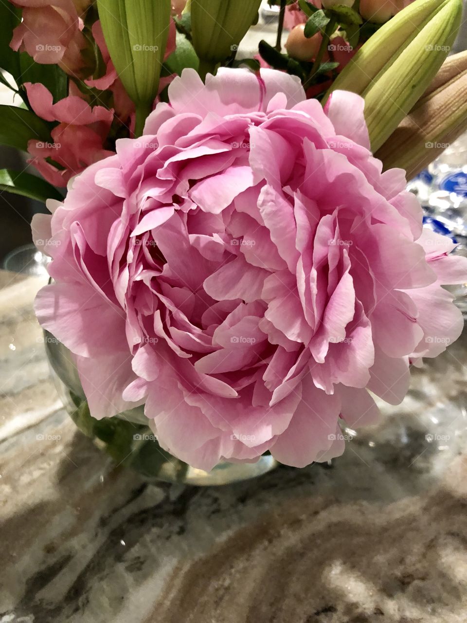 Peony