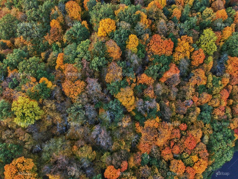 Autumn has so many moods, as much as trees colors during this time of the year.