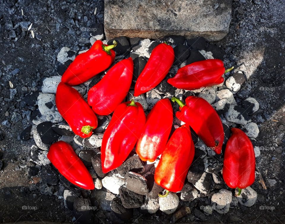 Red peppers on coal