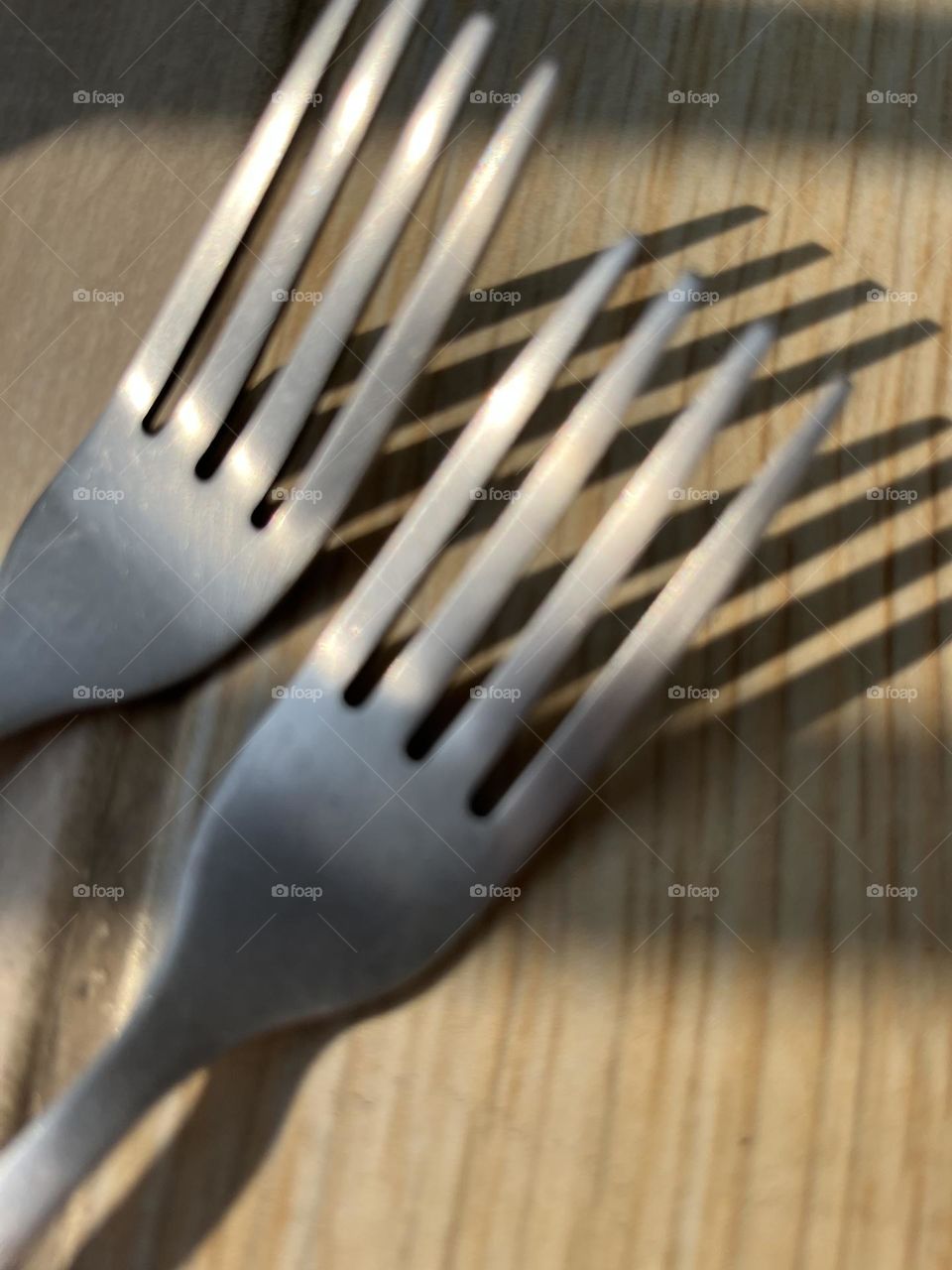 Not Ordinarily : Fork.