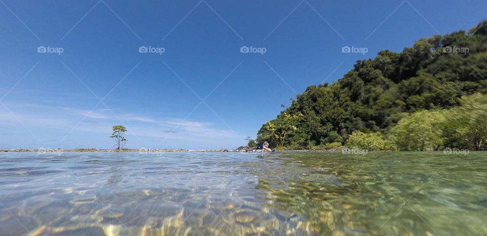 Reef rock pool at low tide with mangrove