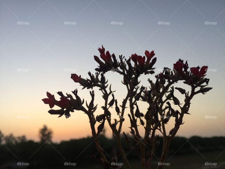 Sunset to moonlight 🌚