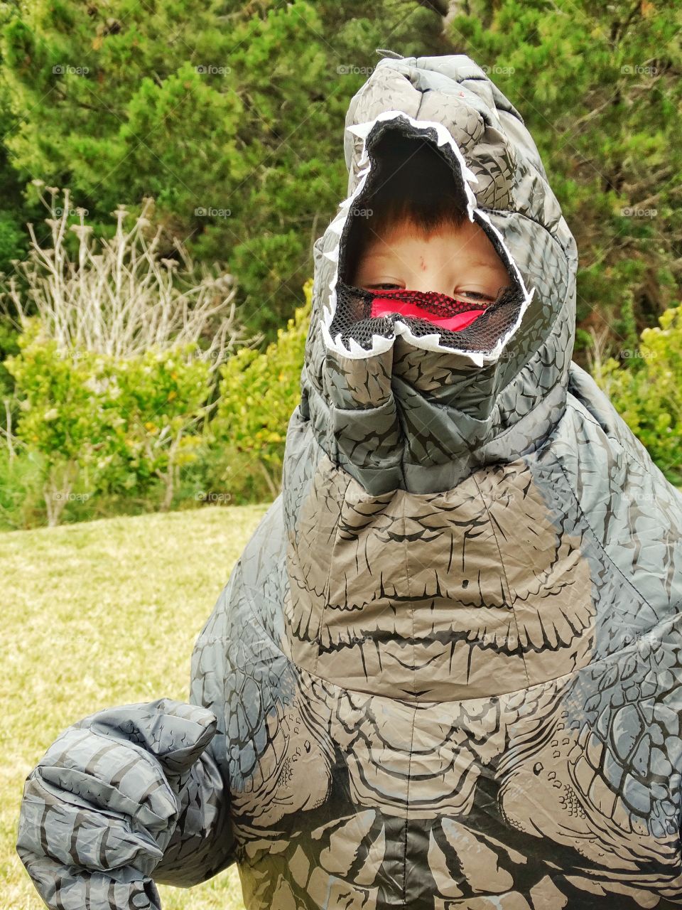 Dinosaur Costume. Young Boy Playing Make Believe In A Dinosaur Costume
