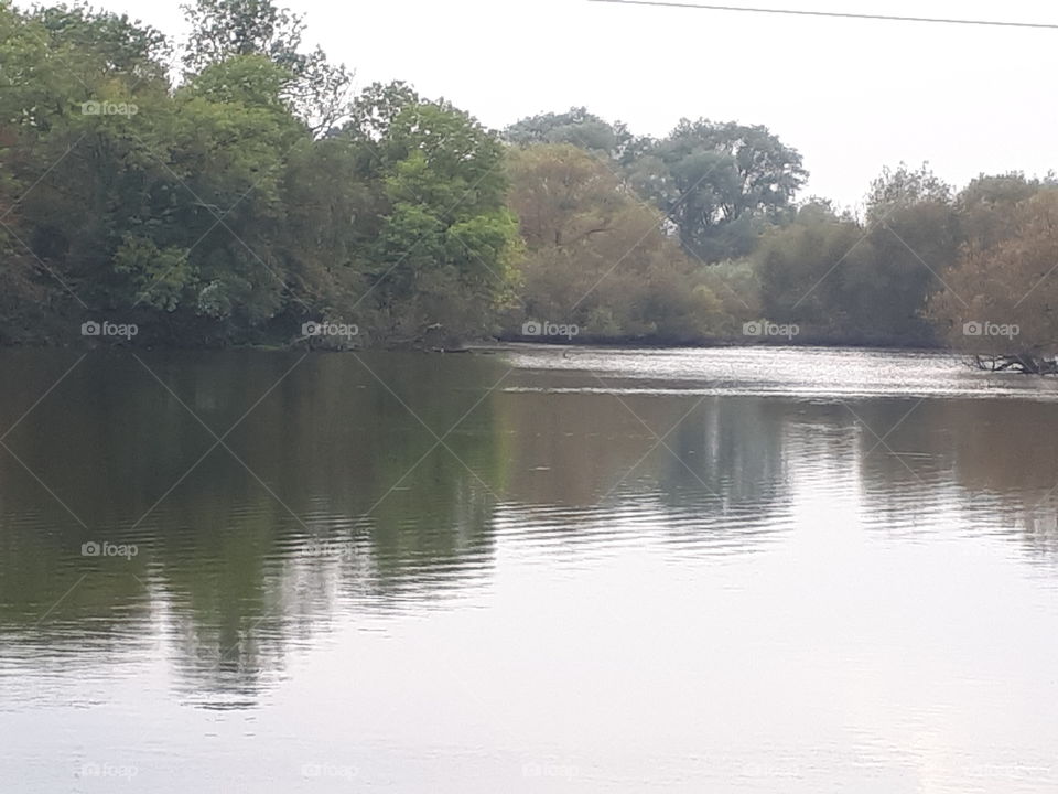 Water, River, Lake, Tree, Landscape