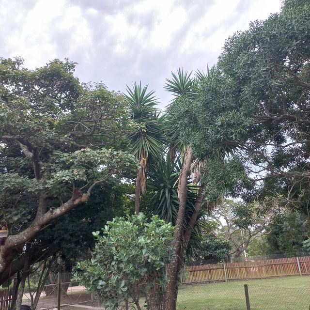 Cloudy skies