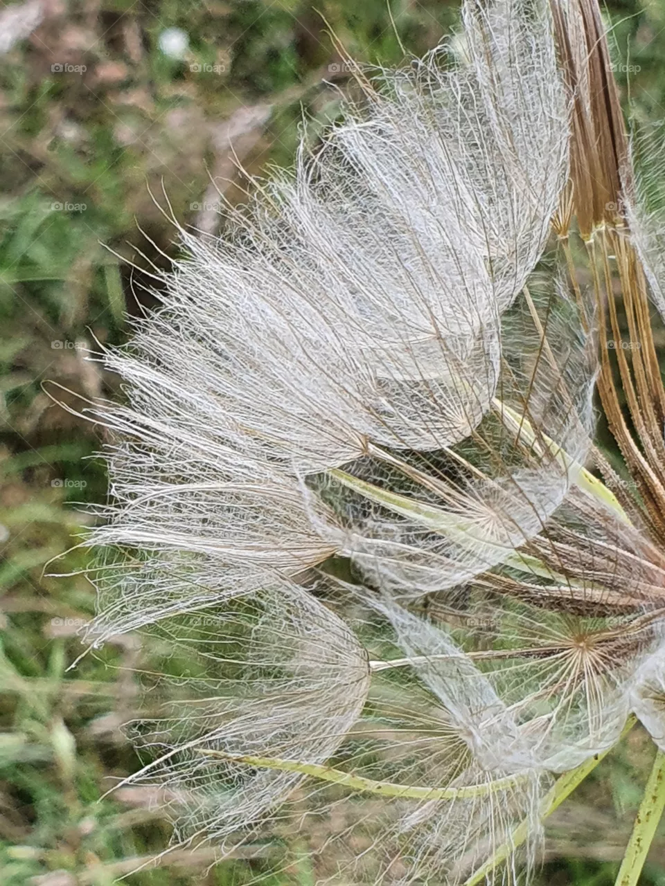 As soft as silk