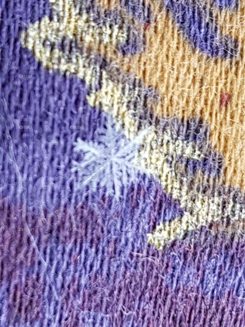 Can you see the snowflake.