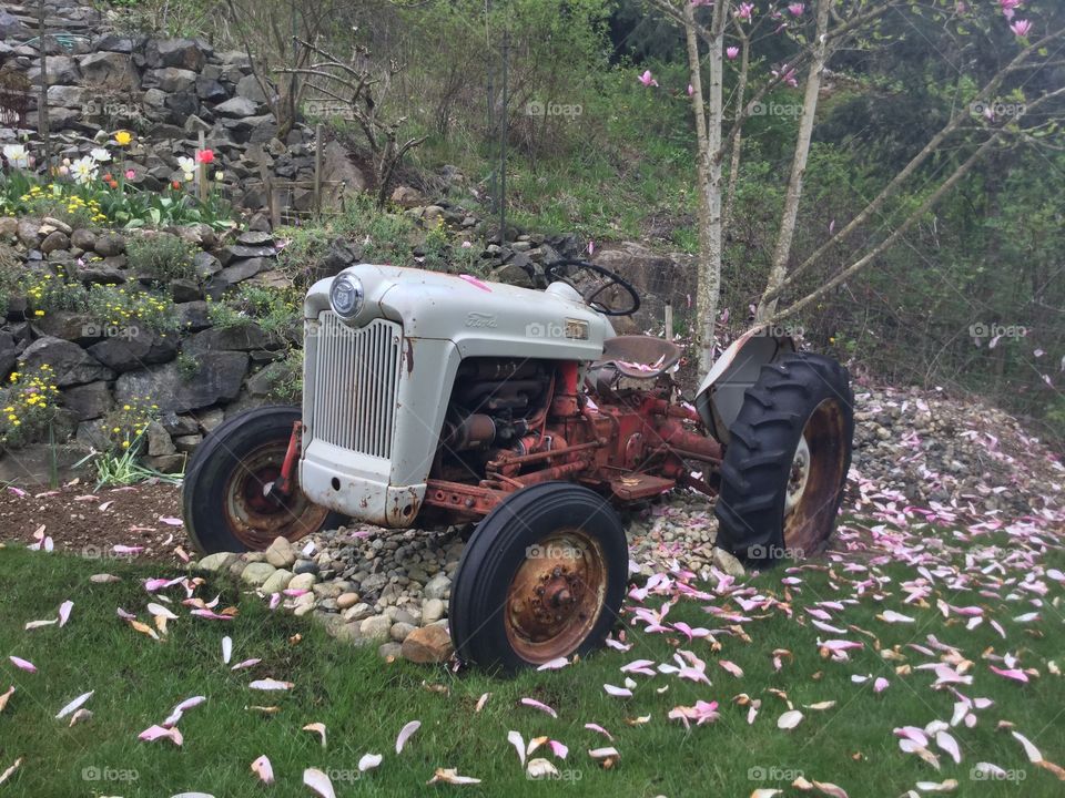 Old antique lawn mower out in the garden 