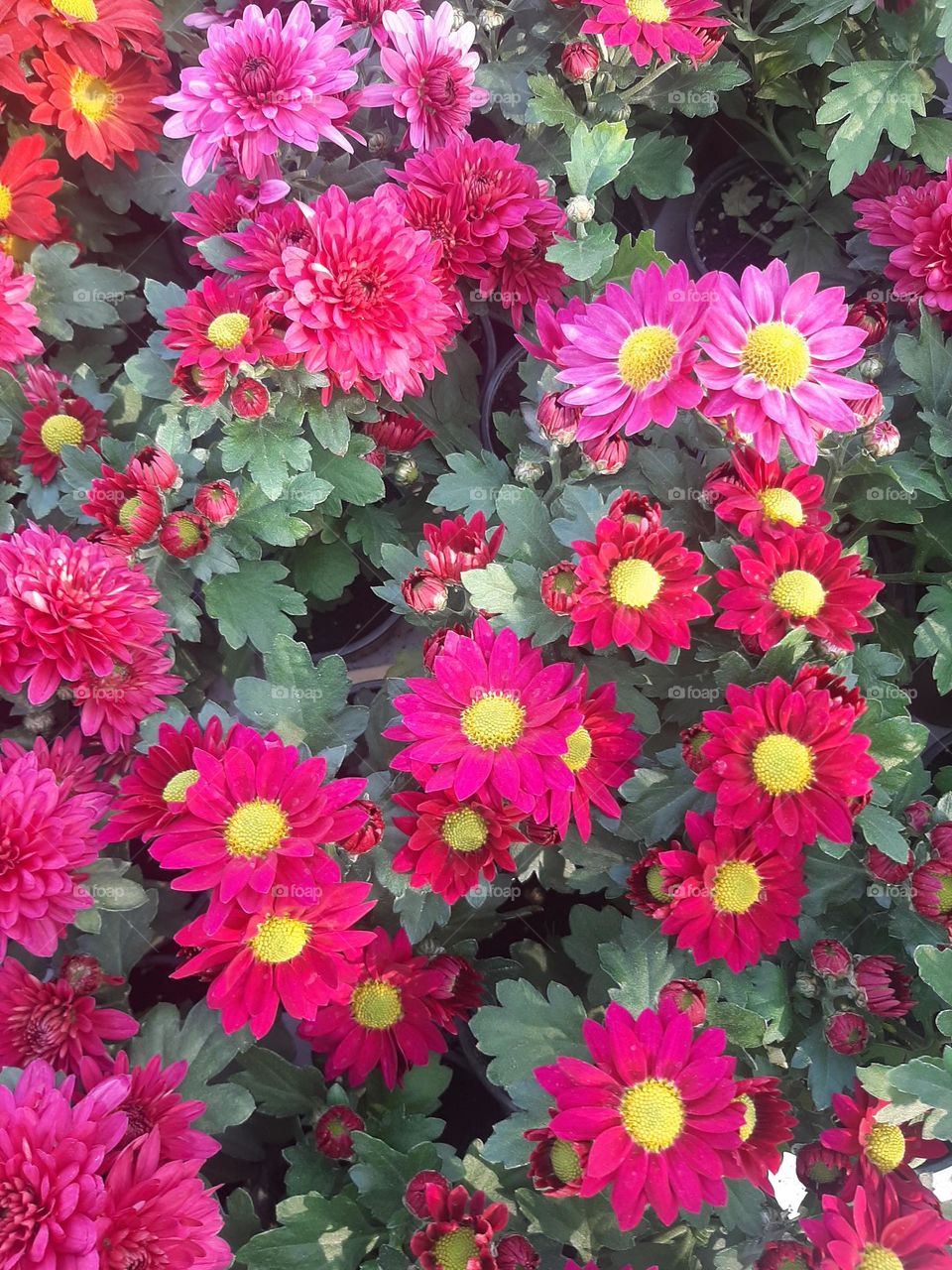 Please make me happy, I am poor, I need your help with support