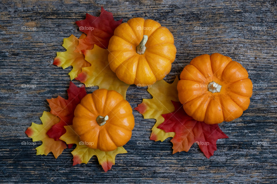 A flat lay of three small orange pumpkins with vibrant colored leaves on a wooden table 