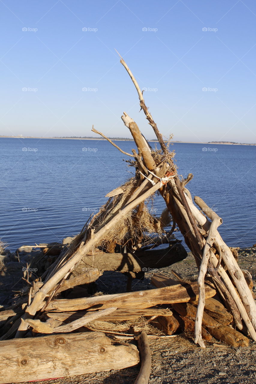 gathered Driftwood on Folsom Lake