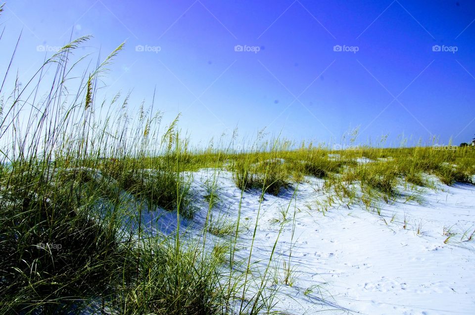 White beach and a Bluetiful Sky