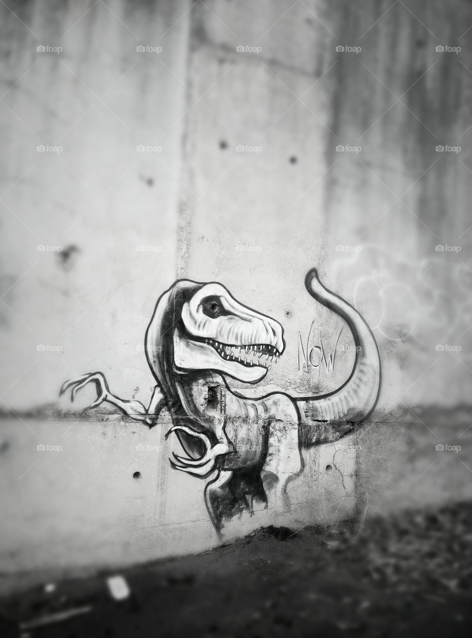 Photography of a graffiti of a black and white dinosaur