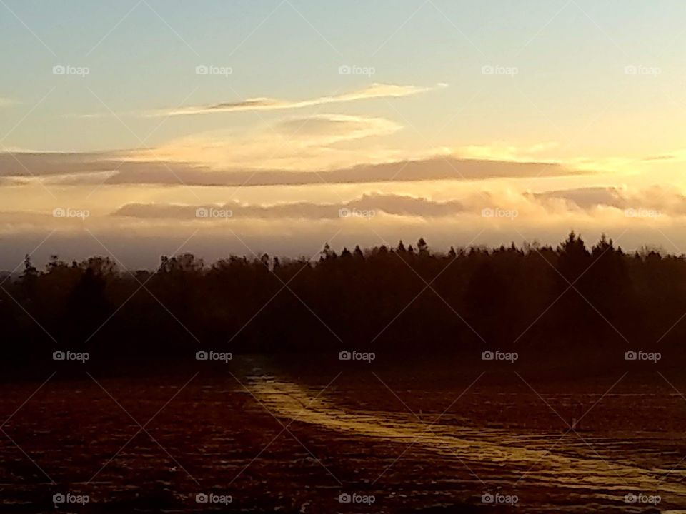 sunrise in the Willamette Valley